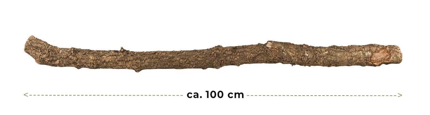 XL Kork-AST | 100 cm lang | AST von der Korkeiche/Korkbaum | Naturkork-Rinde als Terrariumausstattung | Made in Portugal