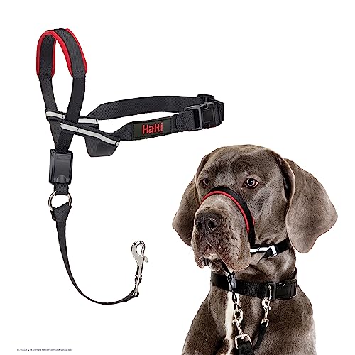 Collares Perros Grandes Adiestramiento Marca Company of Animals