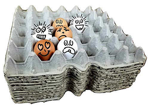 Egg Flats Egg Cartons Cheap Bulk - Egg Tray Egg Carton For Your Dubia Roach Colonies by G&T Country Living, LLC