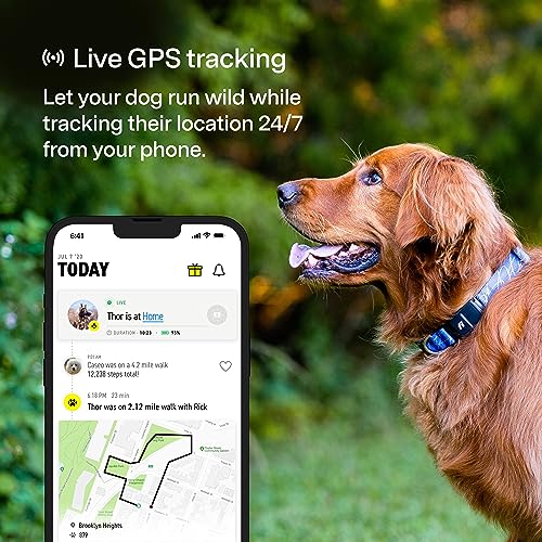 Fi Series 3 Smart Dog Collar - Gps Dog Tracker And Activity & Fitness Monitor, Waterproof, Led Light, Escape Alerts, Nationwide Coverage [6 Month Membership] (Medium, Blue) #TOP1