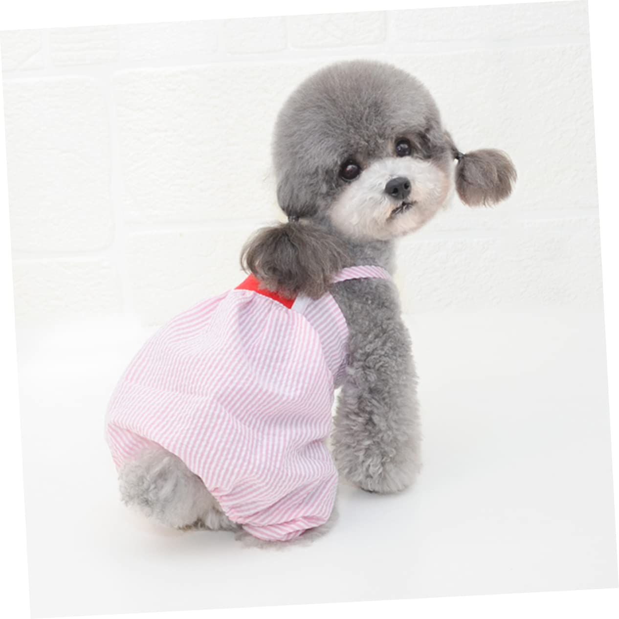 Angoily Lot De 3 Vêtements pour Animaux De Compagnie Motif Pastèque Pantalon À Bretelles pour Fêtes Mariages Et Photos