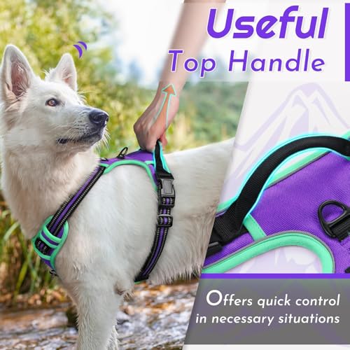 Image of Eagloo Dog Harness for Medium Sized Dogs, No Pull Vest with 2 Leash Clips