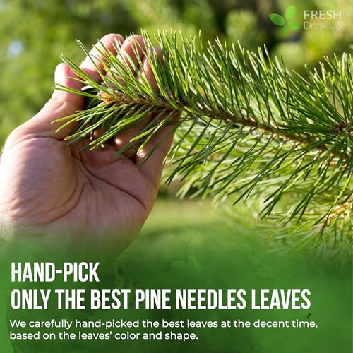 Image of FreshDrinkUS, Premium 8oz Pine Needle Leaves Herbal Tea - Dried Loose Leaf Pine Needles - Naturally Fresh & Aromatic Caffeine-Free Herbal Tea. Sugar-Free. Vegan