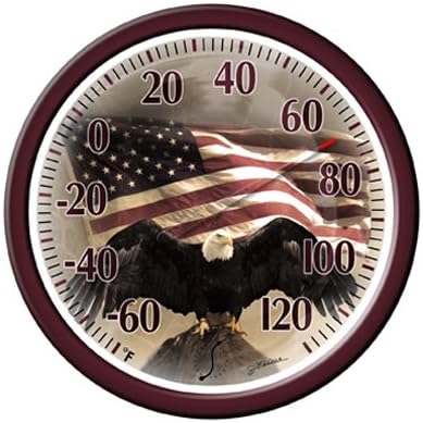 Taylor 6773 Bald Eagle Outdoor Thermometer, 13-in. - Quantity 4