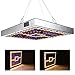 Produktbild LED Pflanzenlampe Vollspektrum 45 W 144 LED Große Pflanzen Dimmbar Pflanzenlicht Wuchs Gewächshaus Wachstumslampe für Zimmerpflanzen Gemüse und Blumen Pflanzenleuchte