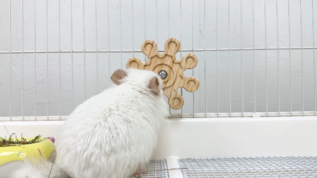 Chinchilla Wheel Natural Wood Chinchilla Chew Toy Rotating