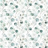 Bio Eukalyputs Jersey (GOTS) gibt es in den Farben: petrol: B0BY5QKF2R, B0B5KXGK88 und B0B5KTFQRV; weiß: B0BY5Q7V63, B09WMNSYWB und B09WMPLR4G; grau: B0BC26KCXF und B0BC1JZLSW