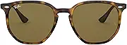 Ray-Ban Unisex Rb4306 Hexagonal Sunglasses