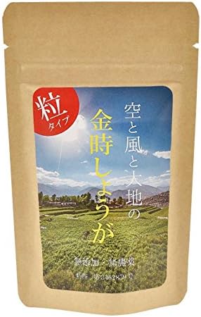 Amazon 金時しょうが 粒 1錠 無農薬 100 金時生姜使用 Saint Labo 生姜