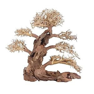 AquaOne Aquarium Bonsai boom XXL nr. 13046 wortel Oriëntaal hout 50x25x40 cm I Aquascaping decoratie I natuur unicum…