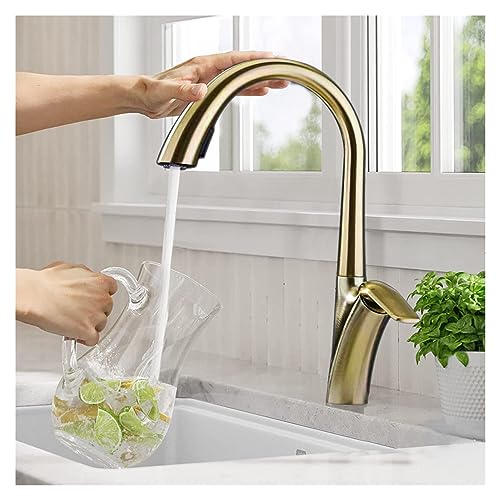 Mitigeur d'évier eau chaude froide pour cuisiner comme un chef