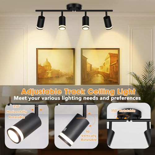 Spiglamm 4-Light Semi Flush Mount Ceiling Light, Black Kitchen Track Lighting Fixtures Ceiling Mount, Modern Adjustable Multi-Directional Ceiling Lamp for Living Room, Dining Room, Hallway