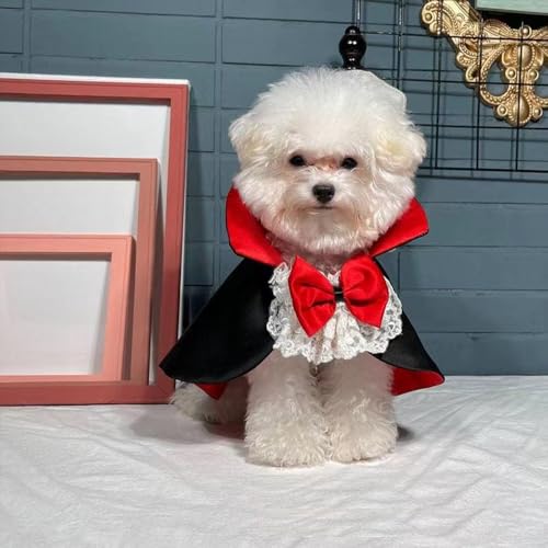 Disfraz de Vampiro para Perros y Gatos, Talla L miniatura 4