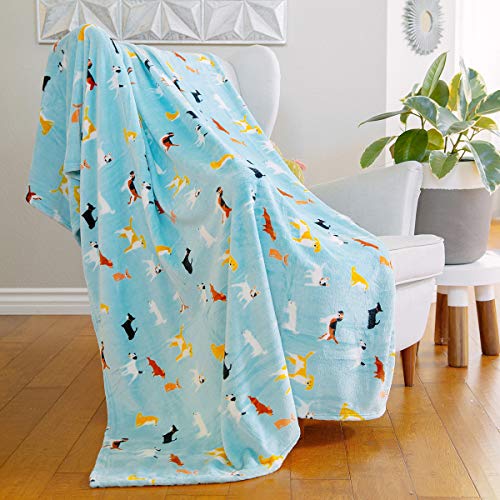 AVAFORT Velvet Plush Home Fleece Throw Blanket for Couch Sofa Bed, Warm Elegant