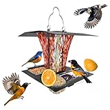 LUJII 6-in-1 Solar Bird Feeder with RGB String Lights, Hand Blown Glass, 2 Removable Trays for Bird Seed, Suet Ball, Mealworm, Oriole Orange Fruit, Jelly or Water, Red
