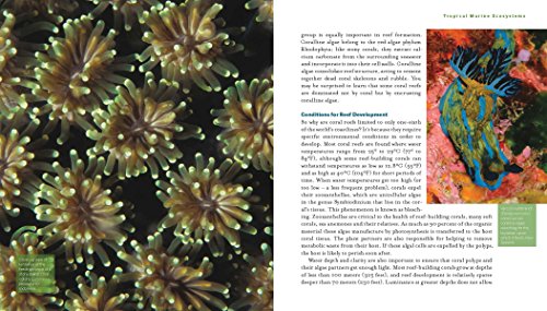 Reef Life: A Guide to Tropical Marine Life - Image 5