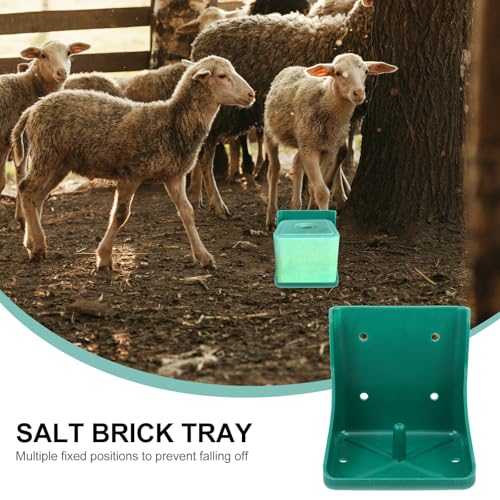 Support robuste en acier pour boîte à blocs de sel Ciieeo, matériel d'élevage durable