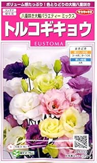 Amazon Co Jp トルコキキョウ 種