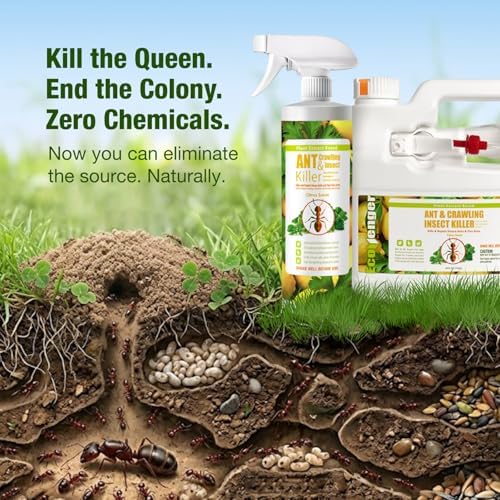 EcoVenger By EcoRaider Ant Killer & Crawling Insect Killer, 16 OZ Ready to Use, Indoor & Outdoor, Kills & Repels, Lasting Prevention, Natural & Non-Toxic Plant Based Formula, Pleasant Citrus Scent - 5