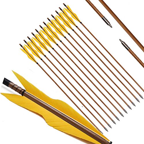 PG1ARCHERY Lot de 12 flèches en bambou 32" Cover