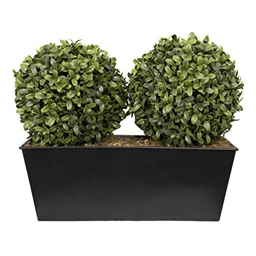 Best Quality 🔥 GreenBrokers ABBT-1611-02 Artificial Double Ball Aglaia Boxwood in Black Tin