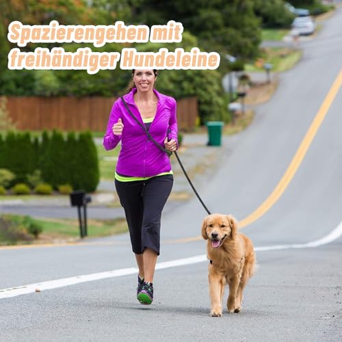Hundeleine 2.5m Schleppleine Verstellbare Doppelleine Leichte für Kleine Mittelgroße Hunde mit 2 Karabiner für Training Outdoor Aktivitäten Schwarz