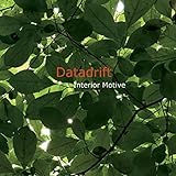 Interior Motive