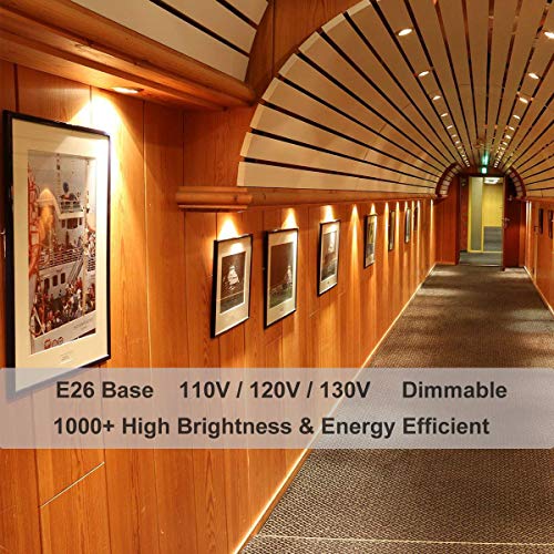 Vinaco Par30 Long Neck Halogen 75W, 6Pcs Par30S 75W 120V Flood Light Bulbs, Dimmable, High Efficiency& Long Lasting Life, E26 Base, 3000K Warm White, Great For Accent Lighting, Tracking Light #TOP1