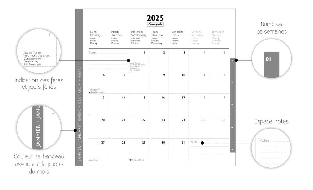 Calendrier Mural 2026 Mila Marquis 'Le Bouquet' - 16 Mois, 16.5x16.5 Cm, Multilingue