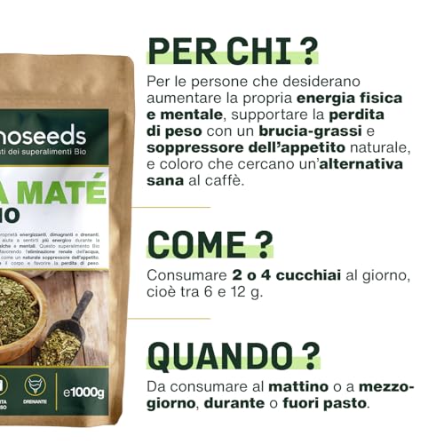 Yerba Maté Bio 1KG | Maté Verde Non Affumicato | 100% Foglie, Senza Steli | Energia, Alternativa Al Caffè | Qualità Superiore - 5