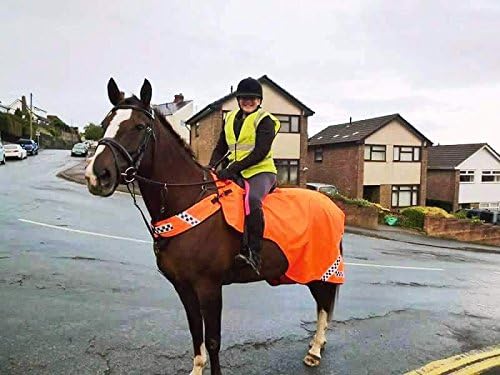 GEE TAC HORSE RUG WARM FLEECE LINED EXERCISE SHEET WATERPROOF HI VIZ VIS RIDE ON WRAP ROUND