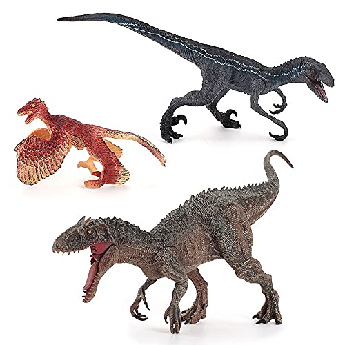 XIXun-RBRD tBMA tBMAZbg A̒uf qm炨 aMtg ncAFLvgAeBmTEX wKыp̉Ƃ̑p