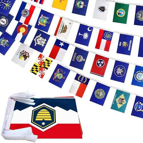 Auhafaly New US 50 State Flags US History Classroom Decor Olympic Mini Flag Banner String Set for History Classroom Party Olympic Decor,61.68 Feet