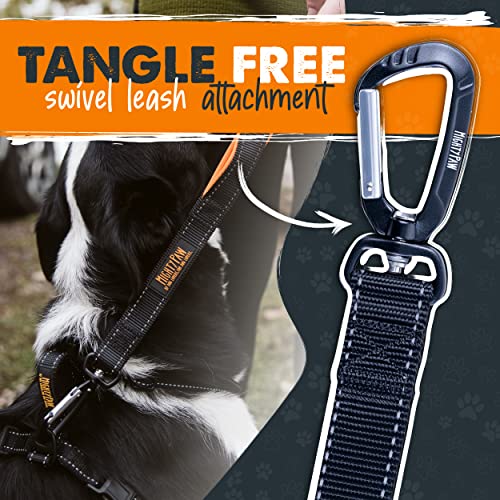 Mighty Paw Short Leash, Traffic Handle Dog Leash, Premium Quality Dog Lead With Padded Handle (30 In, Black) #TOP5