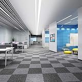 Nisorpa Commercial Carpet Squares 40 Pack Bitumen Rubber Backed Indoor Carpet Tiles 20x20 inch Washa