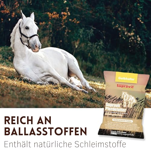 Supravit Hafer ganz 20kg | Frischer gelber Futterhafer natürlich & ungeschält für Pferd und Pony | staubfrei & riecht gut I Hafer Energie & Kraftfutter Pferd