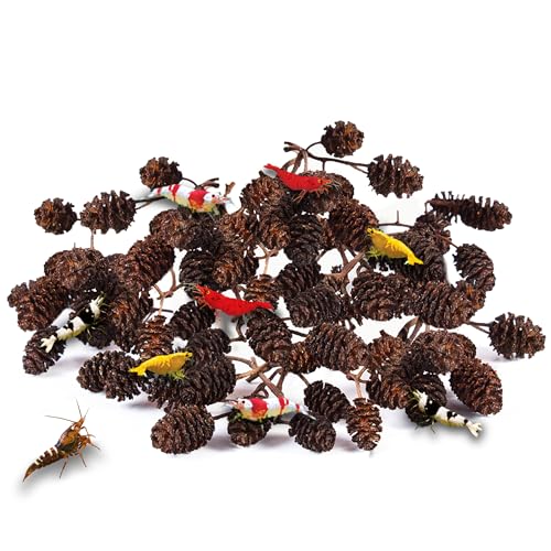 JOR Alder Cones (60 pcs)