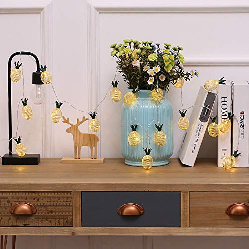 Merdeco Pineapple String Lights, 10Ft 20 Led Plug In String Lights Warm White Fairy Lights For Birthday Party Wedding Home Indoor Outdoor Decoration #TOP3