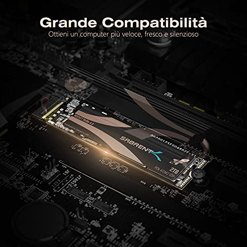 SSD 2TB, SSD interno, Rocket SSD NVMe PCIe 4.0 M.2 2280, Disco a stato solido a massime prestazioni, Gen 4, per PS5, Lettura fino a 5000 (MB/s), (SB-ROCKET-NVMe4-2TB) - Hdd - Immagine 7