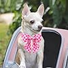 UP URARA PUP Pink Plaid Bowtie Dog Collar - Summer Comfortable Cotton Collar With Metal Buckle for Puppy Boy Girl, M #3