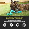 Non Toxic Dog Chew Joy