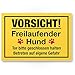 Produktbild Komma Security Vorsicht freilaufender Hund - Hunde Schild Hinweisschild Gartentor Gartenzaun - Türschild Haustüre Warnschild Abschreckung Einbruchschutz - Achtung Hund