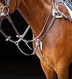 Shires Salisbury Five Point Breast Plate Full Size Havana