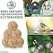Gardemics Meisenknödel ohne Netz für Wildvögel, Insekten-Knödel [9 kg, ca. 100 Stück] Wildvogelfutter mit Insekten für Artenvielfalt im Garten | Proteinreiches Ganzjahresfutter