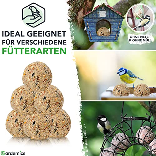 Gardemics Meisenknödel ohne Netz für Wildvögel, Insekten-Knödel [9 kg, ca. 100 Stück] Wildvogelfutter mit Insekten für Artenvielfalt im Garten | Proteinreiches Ganzjahresfutter
