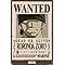 Amazon.com: Trends International One Piece - Roronoa Zoro Wanted Poster ...