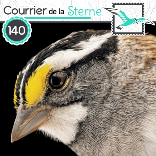 CDLS#140 : L'habit ne fait pas le moine ( Engoulevent d'Europe et Bruant &agrave; gorge blanche)