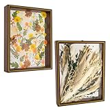 Pressed Flower Frame – Durable Dual Panel Design Glass Frame for Pressed Flowers – 11x14 Extra Large Easy-to-Use Dried Flower Arrangements – Portrait or Landscape Floating Frames for Versatile Decor