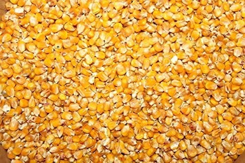 25 kg Mais Giallo