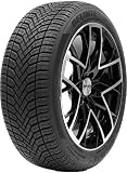 Pneumatico DELINTE AW6 205/55 R16 91 V